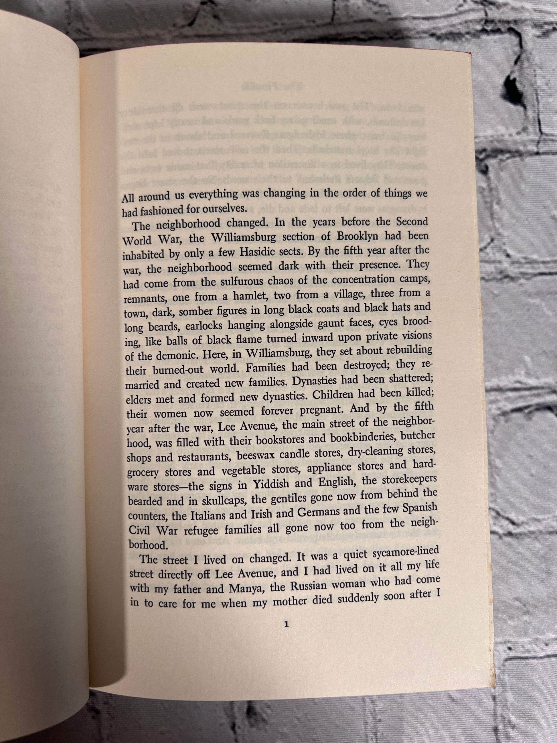 Flipped Pages The Promise by Chaim Potok [1969]