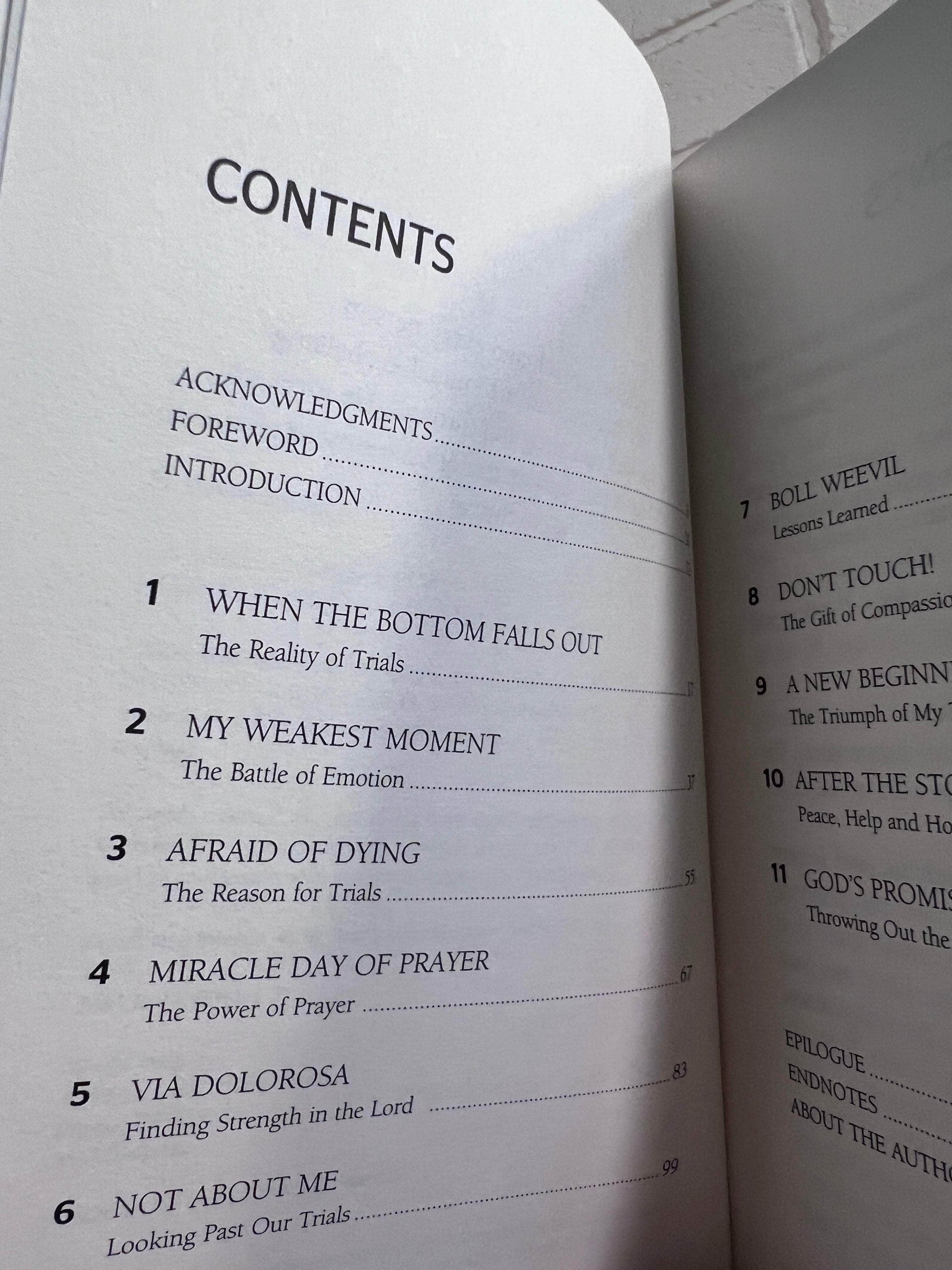 Flipped Pages Why: Answers to Weather the Storms of Life by Vernon Brewer (Signed)